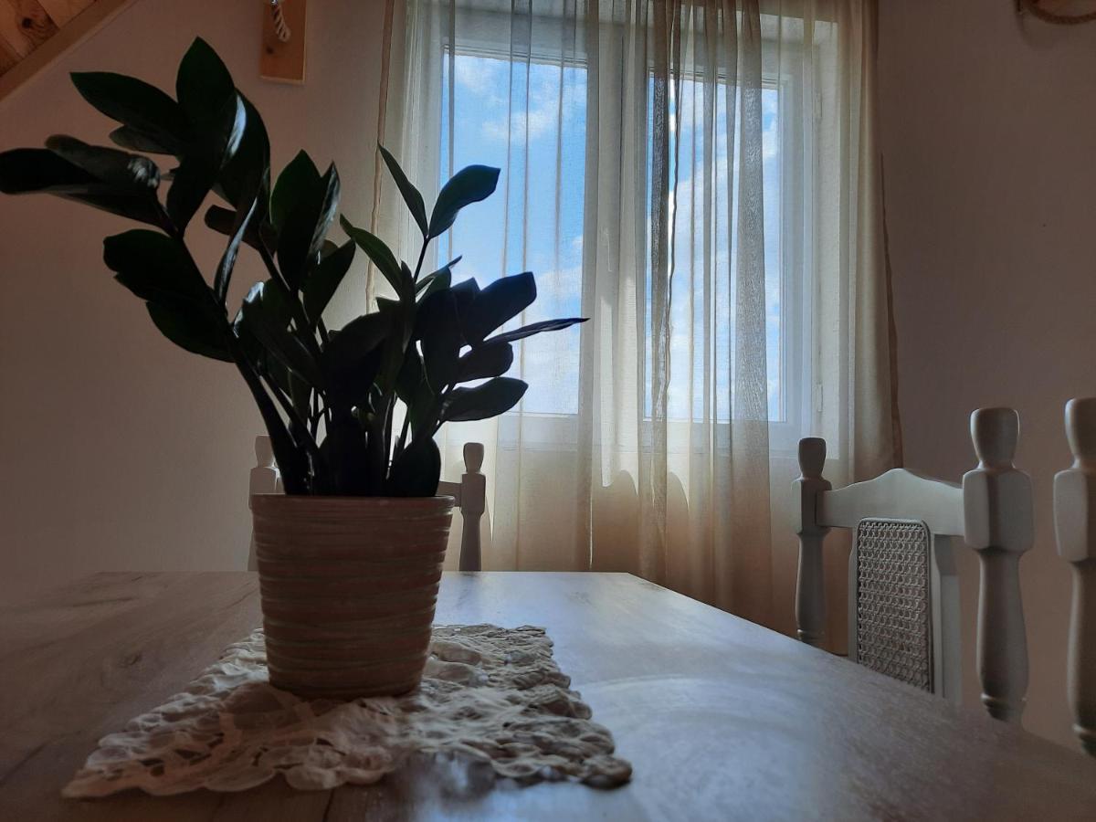 Vila Aleksandar Žabljak Εξωτερικό φωτογραφία